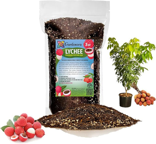 Premium Lychee Potting Soil Mix - Perfect Balance of Nutrients, Drainage, and Aeration for Thriving Lychee Trees - 3 Quart