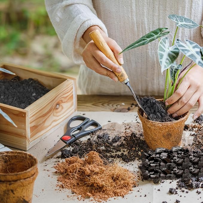 Horticultural Charcoal 4qt for Plants, Actived Charcoal Terrarium Supplies, Suitable for Indoor Plants, Succulent, Orchid, Cactus, Bonsai