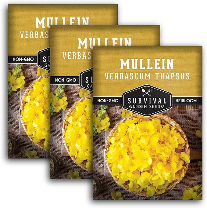 Mullein Seed for Planting - 3 Packets with Instructions to Plant and Grow Medicinal Herb Common Mullein in Your Home Vegetable Garden - Non-GMO Heirloom Variety - Survival Garden Seeds