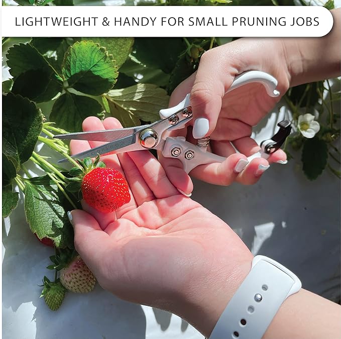 Plant Pruning Shears Garden Trimming Scissors Precision Hand Pruner Herb Snips Flower Clippers Bonsai Trimmers Straight Sharp Blade Tapered Tip Ergonomic Handle Modern Garden Tools