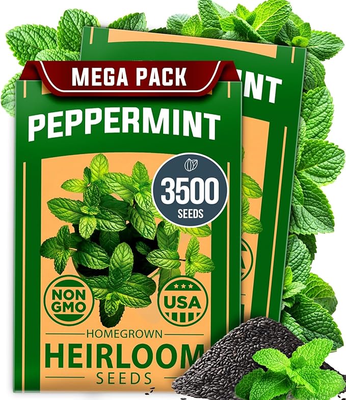 HOME GROWN Peppermint Seeds 2 Pack (Mentha × piperita) – 4,740 Non-GMO, Heirloom Mint Seeds for Planting. Grow Peppermint Plants in Your Kitchen Garden or Plant Them Outdoors for a Lush Herb Garden.