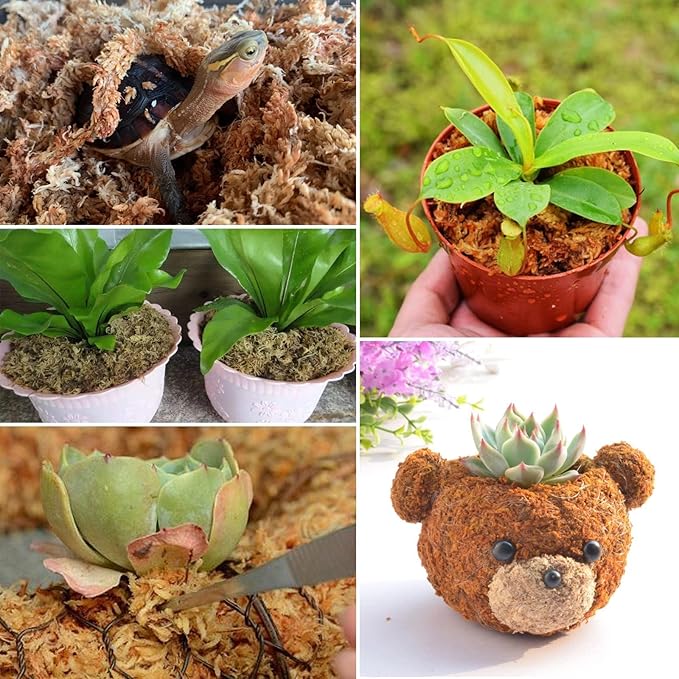 ZeeDix 170g Sphagnum Moss for Plants, 8QT Natural Long Fibered Sphagnum Peat Orchid Moss Bulk for Carnivorous,Orchids,Sarracenia,Succulent,Venus Fly Traps and Reptiles