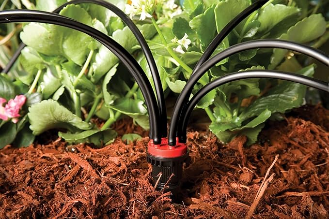 Rain Bird MANIF21PK Drip Irrigation 6-Port Manifold, 2 Gallon Per Hour Flow Rate Per Port (Pack of 2)