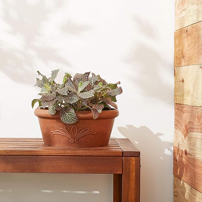 PSW Pot TA30TC Collection Shallow Bulb Pan Planter Dish Low Bowl for Succulents, Bonsai, Fairy Gardens, Herbs, 12-inch, Terra Cotta Color