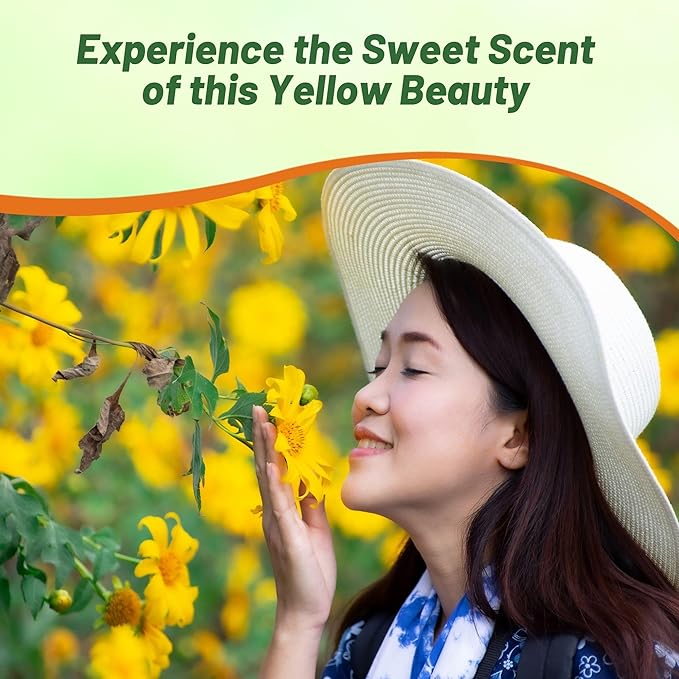 Outsidepride Yellow Torch Mexican Sunflower Seeds - 500 Pcs Annual, Easy-to-Grow, Yellow Tithonia Speciosa Flower Seeds w/Drought-Tolerant Blooms for Pollinator Gardens & Vibrant Summer Landscaping