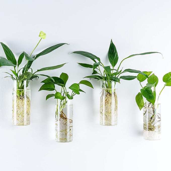 Kingbuy Glass Planter Terrarium Plant Propagation Station Wall Hanging for Home Office Decor, Medium Cylinder, 2 Pack