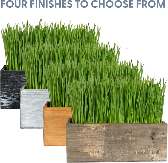 The Cat Ladies Cat Grass Kit (Organic) with Rustic Wood Planter, Seed and Soil. Easy to Grow for Indoor or Outdoor Cats, Dogs and Other Pets. Prevent Hairballs and Aid Digestion