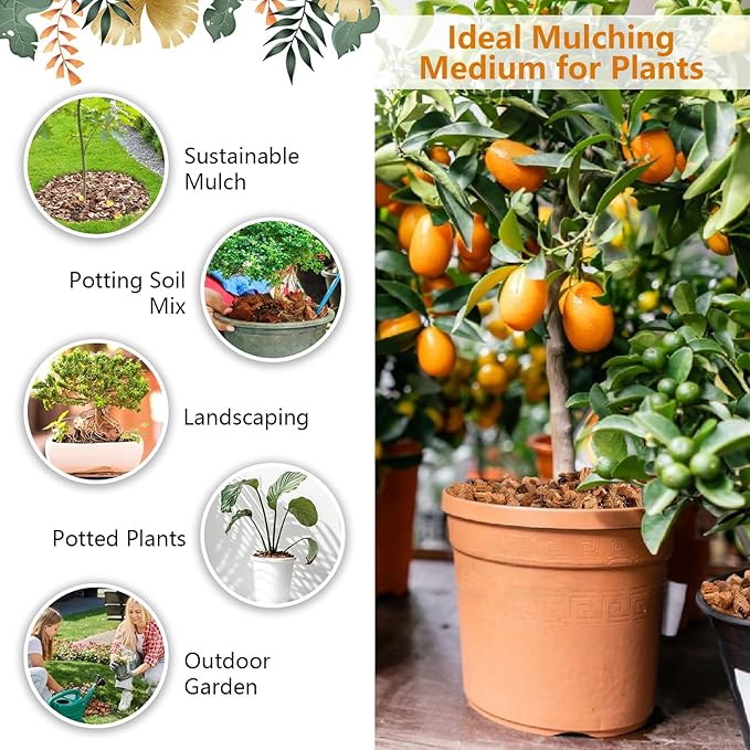 Legigo 10 Pack Coco Husk Chips- 11 LB 100% Organic Coconut Coir Chips Brick Potting Soil Mix with Low EC & PH Balance, Compressed Coconut Substrate Coco Chips Mulch Medium for Garden, Flowers, Plants