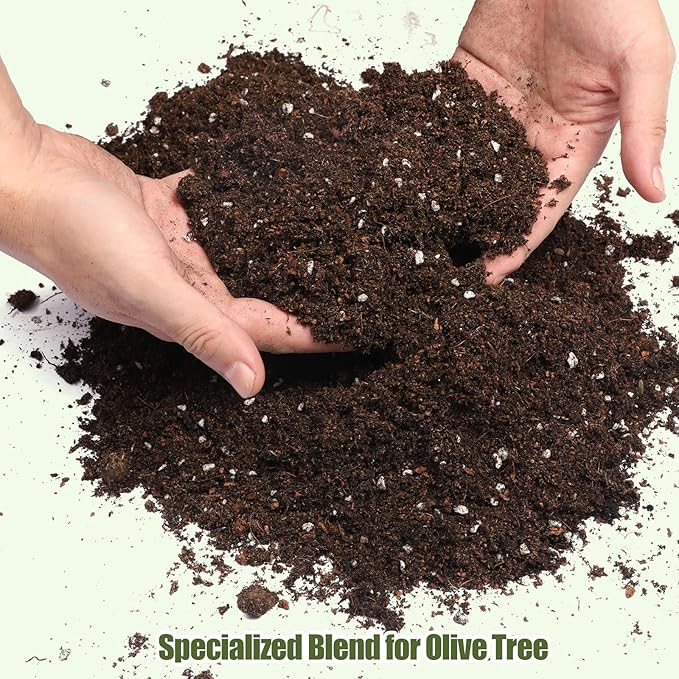 Premium Olive Tree Potting Mix 1qt, Uesed for The Propagation of Olive Trees by Cuttings or Seeds, Suitable for Planting, Repotting, and Growing Houseplant
