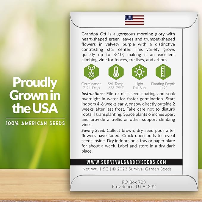 Survival Garden Seeds - Grandpa OTT Morning Glory Seed for Planting - 2 Packs with Instructions to Plant and Grow Ipomoea Purpurea in Your Home Vegetable Garden - Non-GMO Heirloom Variety