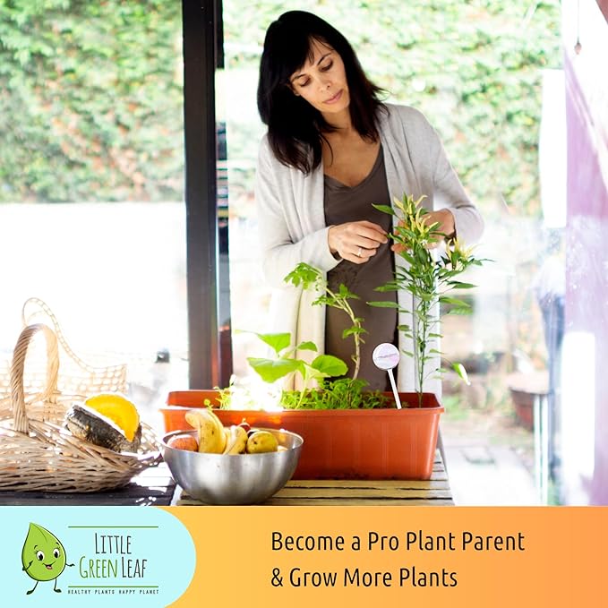 Plant Watering Globes - 4 Pieces Clear Rainbow. Decorative Self Watering Planter Inserts. Hand-Blown Durable Glass. Ideal Plant Lover Gift (4pk Medium)