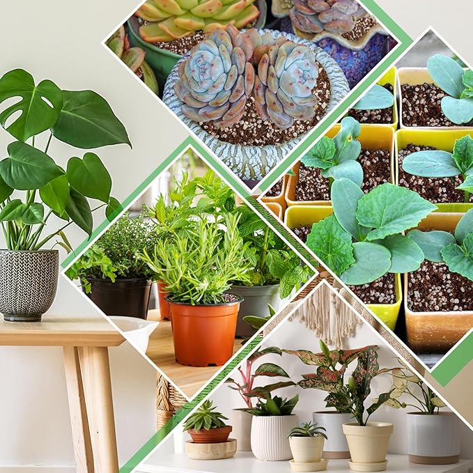 Coco Coir Perlite Mix - Retain Moisture, Improve Drainage & Aeration - Coco Peat Perlite Potting Mix, Loose Organic Potting Soil for Indoor Plants, 6 Quarts