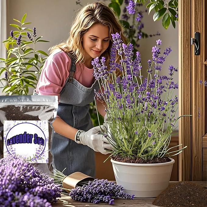 Premium Lavender Potting Mix 10qt, Promotes Lavender Blossoming, Perfect for Indoor and Outdoor Gardening