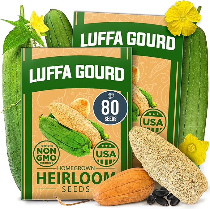 HOME GROWN Luffa Seeds 2 Pack (Luffa aegyptiaca) - 80 Heirloom Loofah Seeds. Non-GMO Loofah Gourd Seeds for Planting. High Germination Rate - Make Sponges or Harvest Young Loofahs for Eating