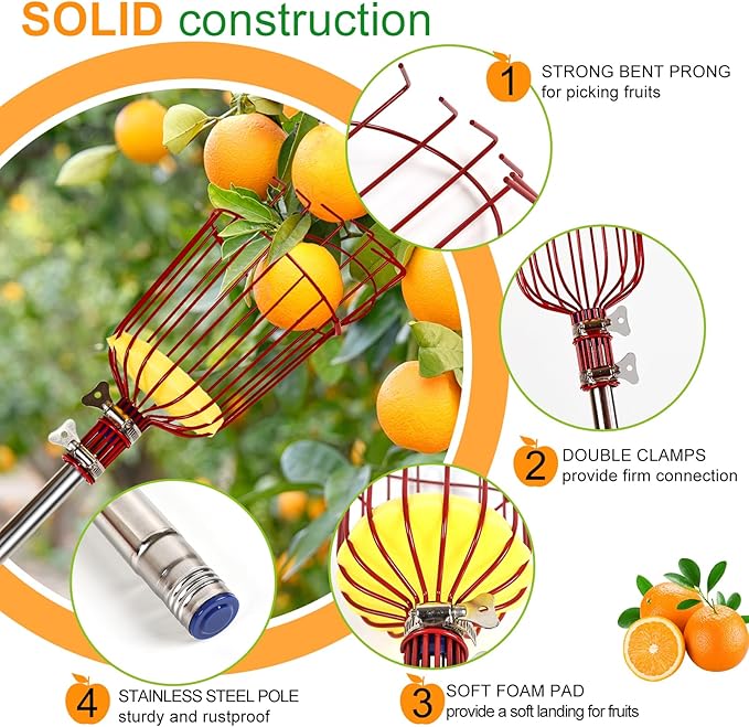 13 Feet Fruit Picker Pole Tool with Basket Apple Picker Extendable Stainless Steel Extension Pole Metal Clamp Fruit Catcher with Protective Foam Pad for Avocado Apples Mango
