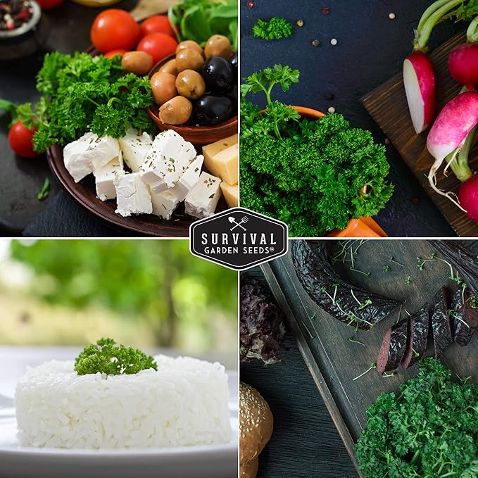 Survival Garden Seeds - Curled Parsley Seed for Planting - 5 Packs with Instructions to Plant and Grow Nutritious Curly Parsley Herb Plants in Your Home Vegetable Garden - Non-GMO Heirloom Variety