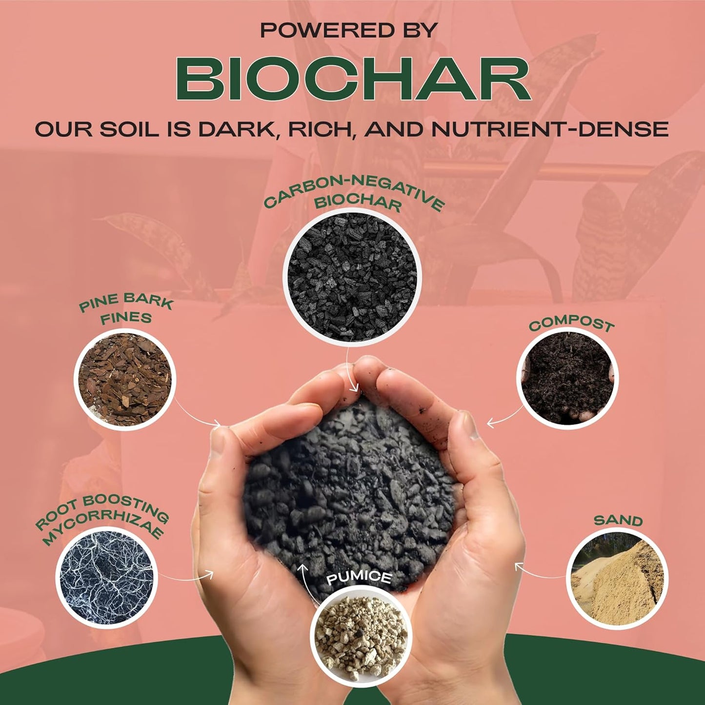 Rosy Soil Cactus and Succulent Potting Soil Mix for Houseplants - Fast Draining Organic Potting Soil for Succulents, AloeVera, Indoor Plant - Root Boosting for Drought Tolerant Growth, Pack of 2