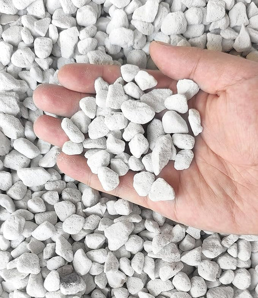 20 QT Professional Grade Horticultural Organic Perlite (20 QT, Large Size - Perlite)