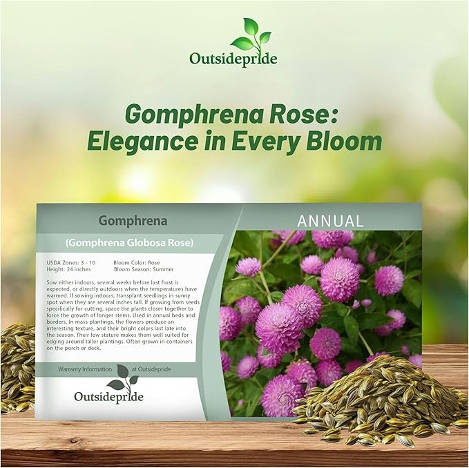 Outsidepride 1000 Seeds Annual Rose Gomphrena Globosa Flower Seed for Planting