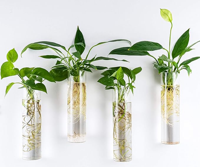 Kingbuy Wall Hanging Plant Terrarium Propagation Station Glass Planter for Home Office Decor, Large Cylinder Vase, 2 Pack