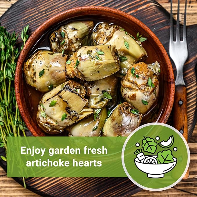 Sow Right Seeds - Artichoke Green Globe Seeds for Planting - Non-GMO Heirloom Packet with Instructions to Plant and Grow an Outdoor Home Vegetable Garden - Perennial - Tall with Edible Flower Buds (2)