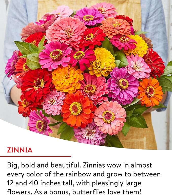 Burpee Fast Blooming 25,000 Non-GMO Planting, 1 Bag Easy Grow Wildflower Seed Mix Contains 14 Flower Varieties for Home Garden