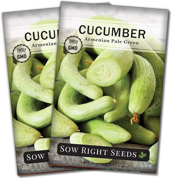 Sow Right Seeds - Armenian Pale Green Cucumber Seeds for Planting - Non-GMO Heirloom Packet with Instructions to Plant and Grow a Home Vegetable Garden - Yard Long Variety for Outdoors (2)