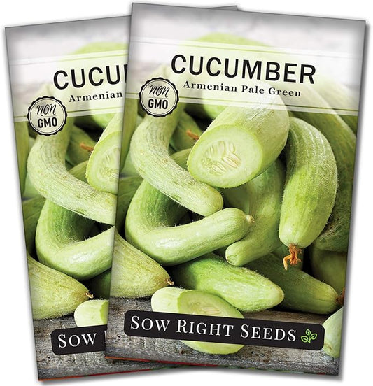 Sow Right Seeds - Armenian Pale Green Cucumber Seeds for Planting - Non-GMO Heirloom Packet with Instructions to Plant and Grow a Home Vegetable Garden - Yard Long Variety for Outdoors (2)