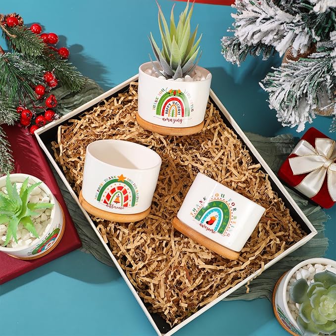 Sieral 6 Pcs Thank You Gift Appreciation Gift Succulent Pots Mini Ceramic Plant Pot with Bamboo Tray Succulent Planter for Coworker Employee Teacher School Counselor, Plants Excluded(Joyous Style)