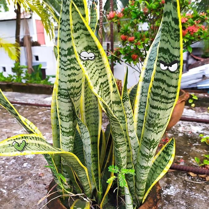 8Pcs Funny Plant Magnets Eyes Cute Soft Glue Plant Magnets Pin Charms Unique Magnetic Eyes Decoration Personality Plants Eye Accessories for Office Indoor Outdoor DIY Potted Plants Women Men Lover