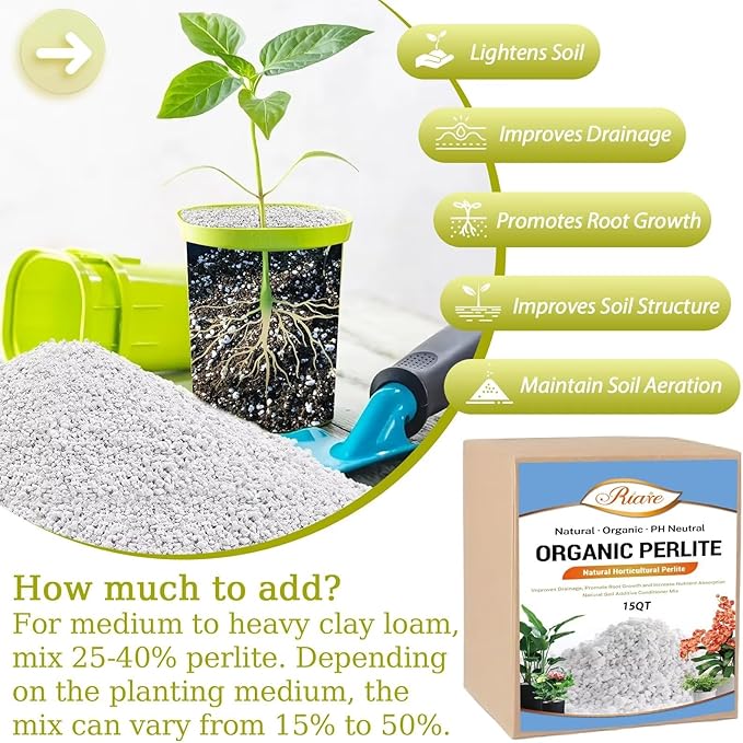 Riare 15 Quarts Organic Perlite for Plants - Horticultural Perlite Soil Amendment for Plants Potting Mix, Natural Chunky Perlite Soil Additive Conditioner Improve Root Growth, Drainage and Ventilation