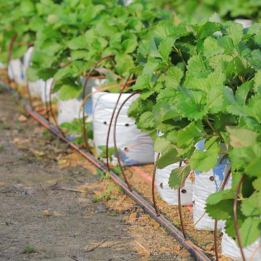 Yaomiao 984 ft Drip Irrigation Hose 1/4 Inch Blank Distribution Tubing Drip Irrigation Drip Line Watering Drip Automatic Irrigation Equipment Set for Garden Flower Bed Greenhouse Flower (Brown)