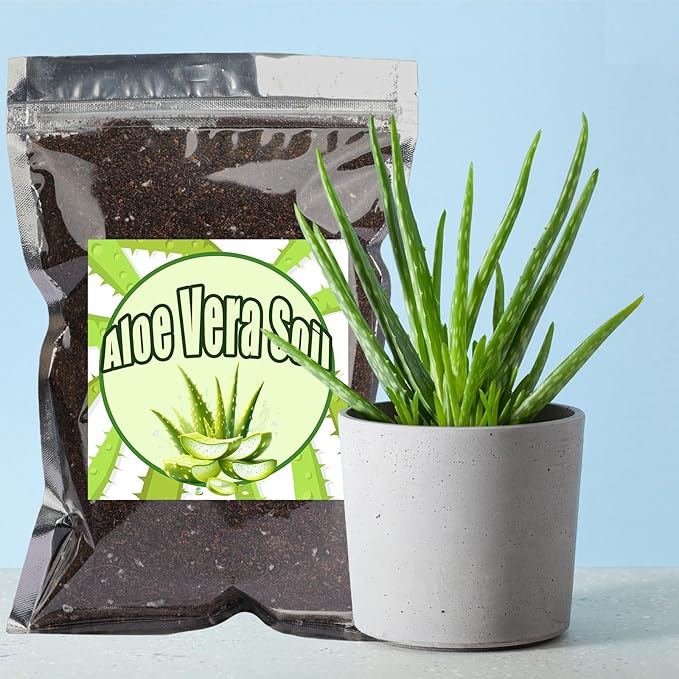 Aloe Vera Potting Soil Mix 2qt, Ready to Use for Seedling and Growing of Aloe Vera Plants or Other Houseplants