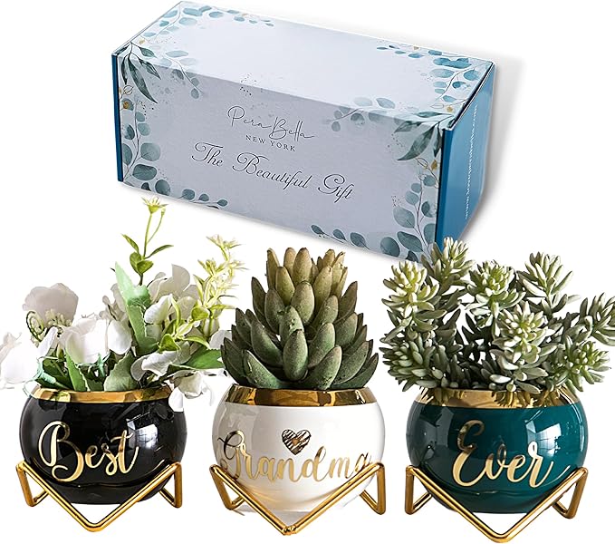 PeraBella Grandma Gifts, Gifts for Grandma Birthday Gifts, Thoughtful Gifts for Grandma, Grandmother Gifts Ideas - 3 Succulent Pots