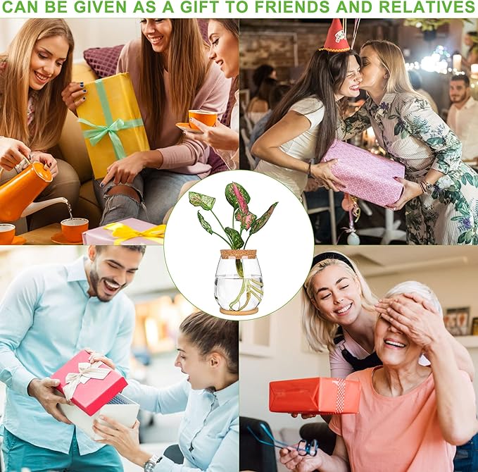 Propagation Stations, 2 Pcs Glass Planters with Wooden Tray & Lid, 5.2x4.2 inches, for Hydroponic Plants, Home Decor, Gardening Gifts for Women