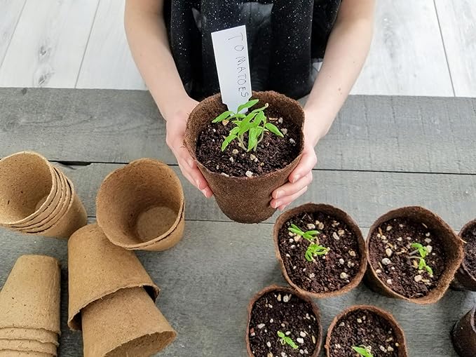 Daniel's Plants 4" Naked Pots | Large Natural Plantable Seed Starter Pots | OMRI-Listed Biodegradable Pots for Seedlings | Enhanced Aeration | Earth Freindly - Peat Free | 30 Pack 4 Inch Round