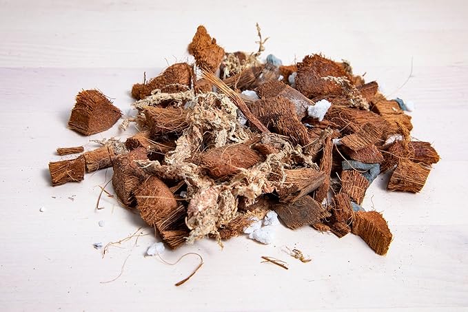 rePotme Deluxe Orchid Starter Kit - Phalaenopsis Dark Classic - (Includes Orchid Potting Mix, Orchid Fertilizer, Plus a 5 inch Orchid Pot, Flower Clip, and Plant Label)