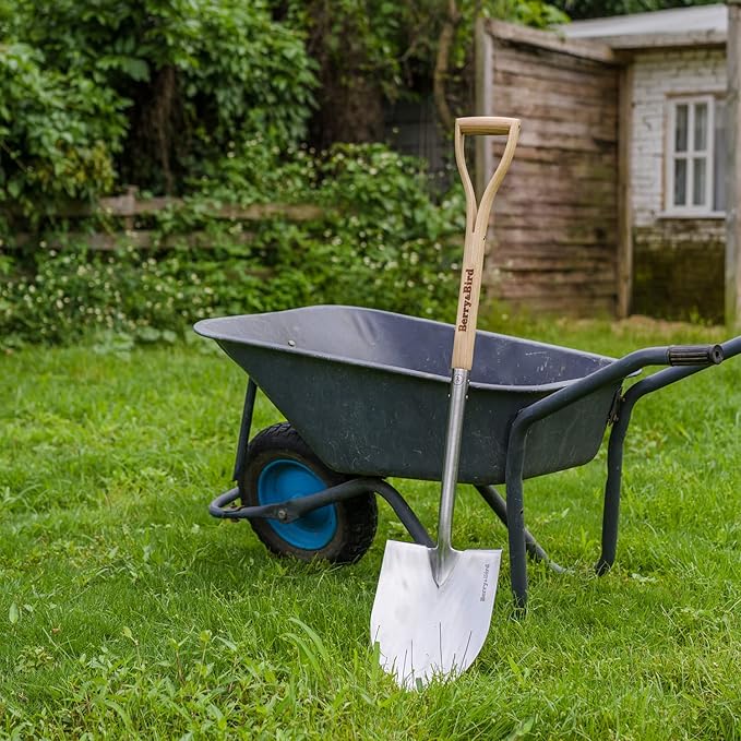 Berry&Bird Shovel for Digging, Round Point Digging Garden Shovel with Wood D-Handle, 40.98" Stainless Steel Gardening Didding Spade, Heavy Duty Spade Shovel Beach Shovel Snow Shovel for Women & Men