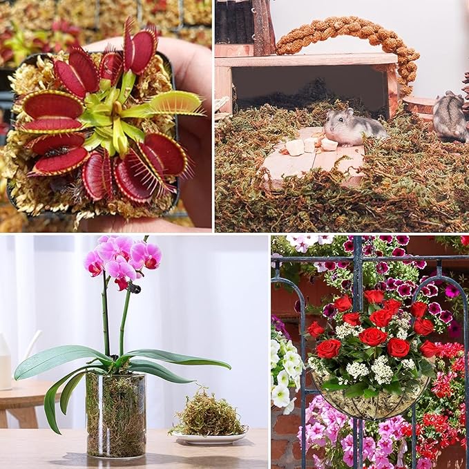 ZeeDix 4QT Natural Orchid Moss Sphagnum for Potting Mix, 3OZ Sphagnum Moss for Moss Pole Repotting Carnivorous Succulent Gardening Plants Reptiles, Dried Long Fibered Sphagnum Moss for Plants Indoor
