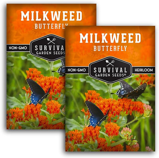 Butterfly Milkweed Seeds for Planting - 2 Packs with Instructions to Grow Asclepias Tuberosa - Attract Butterflies & Help Conservation - Non-GMO Heirloom Open-Pollinated - Survival Garden Seeds