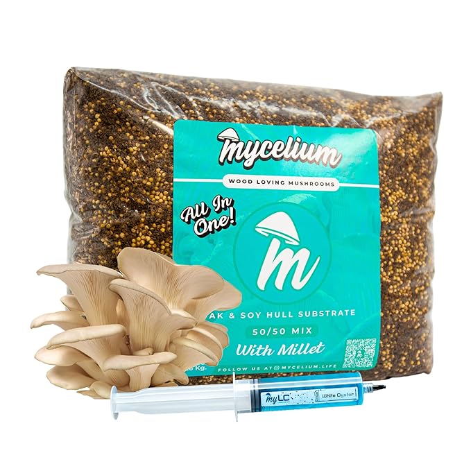 Mycelium’s White Oyster Gourmet Mushroom Kit | 8LBS Oak & Soy Hull with Millet Blend | 20ML Liquid Culture Syringe | All-in-One Complete Cultivation Kit | Pre-Sterilized - Home Growing Made Easy