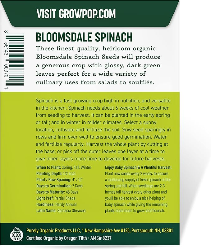 Organic Spinach Seeds (Bloomsdale Long Standing) - Approx 300 Seeds - USDA Organic, Non-GMO, Open Pollinated, Heirloom, USA Origin