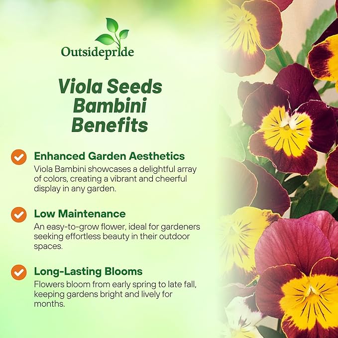 Outsidepride 2000 Seeds Perennial Viola Bambini Flower Seed Mix for Planting