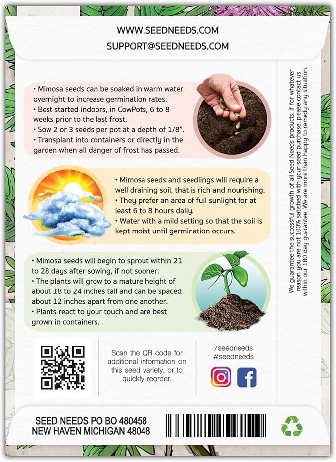 Seed Needs Sensitive Plant Seeds for Planting Mimosa pudica - Heirloom & Open Pollinated Annual Flowers - Pink Blooms with Leaves That React to Touch (5 Packs)