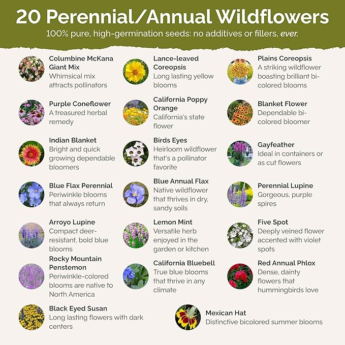 Eden Brothers North American Native Wildflower Mixed Seeds for Planting, 1 lb, 480,000+ Seeds with Birds Eyes, Lupine | Attracts Pollinators, Plant in Spring or Fall, Zones 3, 4, 5, 6, 7, 8, 9, 10
