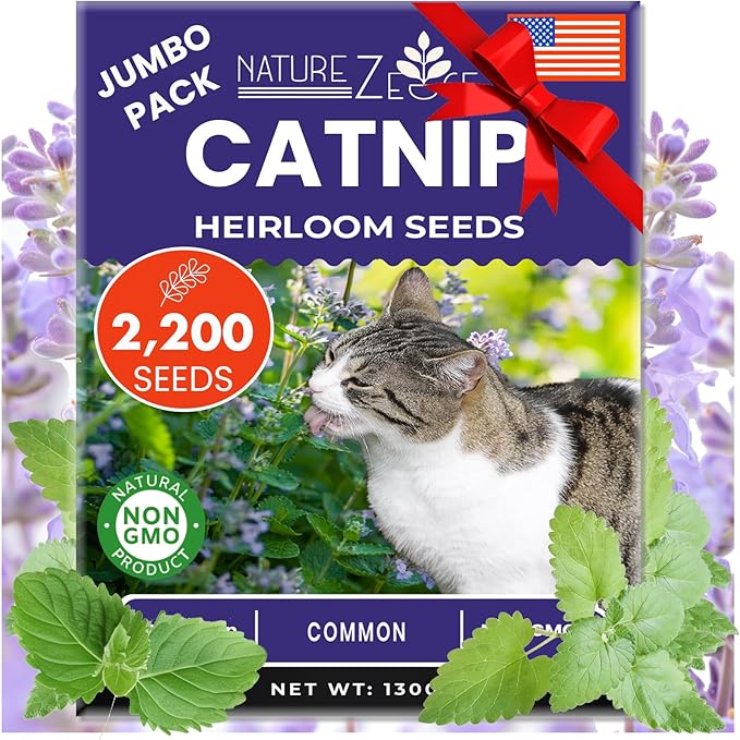 NatureZ Edge Catnip Seeds for Planting, 1700+ Herb Seeds, Indoor or Outdoor Growing, Your Cat Will Love Them, Non-GMO