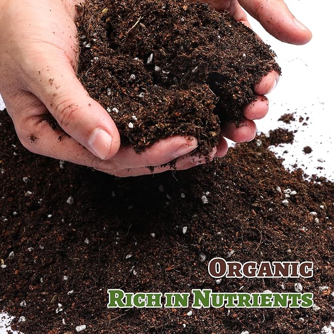 Organic Strawberry Soil Mix 4qt, Indoor Plants Potting Mix for All Potted Strawberry, Grow Healthy houseplants Indoors