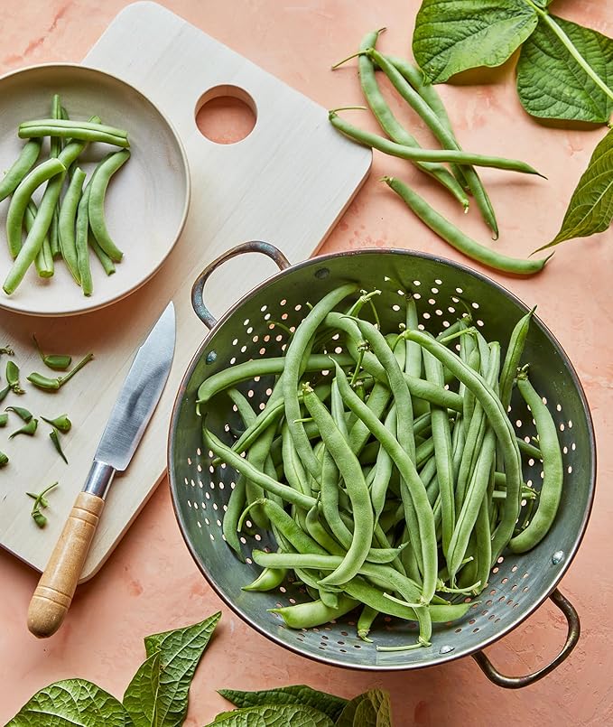 Burpee Blue Lake 274 Bush Bean Seeds 8 ounces of seed