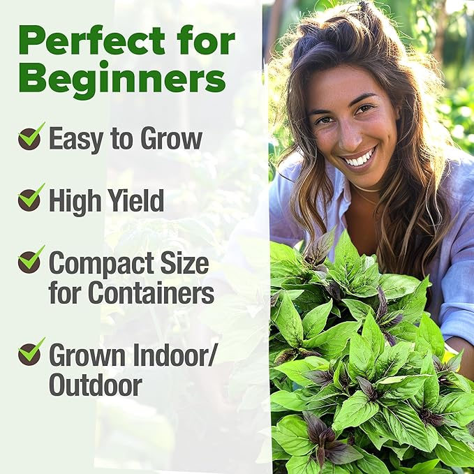 HOME GROWN Thai Basil Seeds Pack - 876 High Germination Non-GMO Heirloom Herb Seeds for Planting, Ideal for Growing Fresh Basil Planting Indoor or Outdoor (Ocimum basilicum VAR. thyrsiflora)