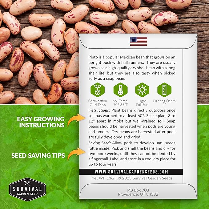 Pinto Bean Seeds for Planting - 5 Packets with Instructions for Growing Mottled/Peruano Beans in The Home Vegetable Garden - Non-GMO Open-Pollinated Heirloom & Untreated - Survival Garden Seeds